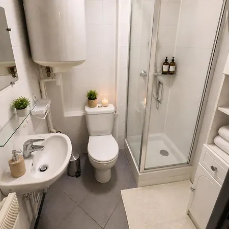 Le Petit Stan 15m2 1min De La Place Stanislas Appartement *